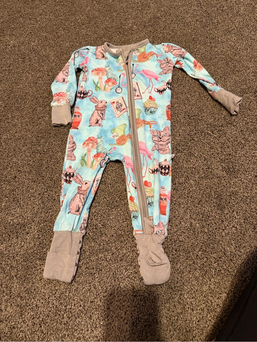 Judy Ru Blue Animal & Mushroom Print Footed One-Piece Pajamas